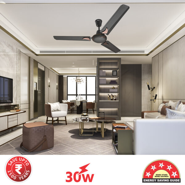 Rilapp BLDC Ceiling Fan 30 Watt - Image 4